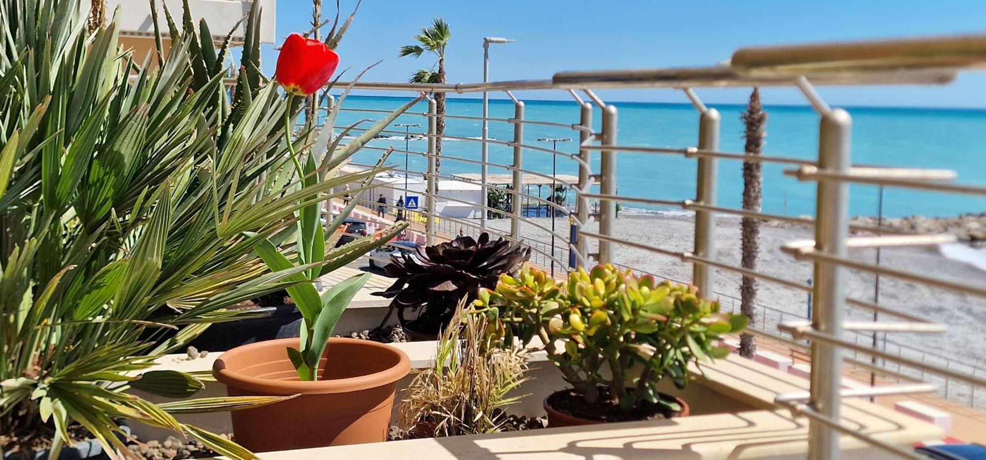 Apartamento Mare Blu Ventimiglia Exterior foto